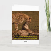 Dank für dort sein kardiert dankeskarte (Rückseite)