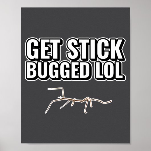 Dank Meme Get Stick Bugged Lol Lustiger Tanzkäfer Poster (Vorne)