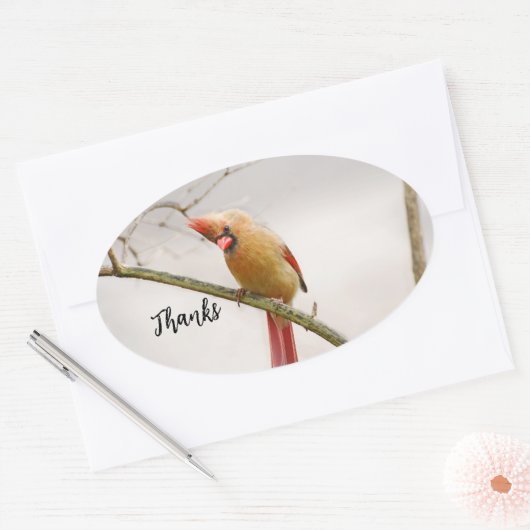 Dank ovaler Aufkleber (Umschlag)