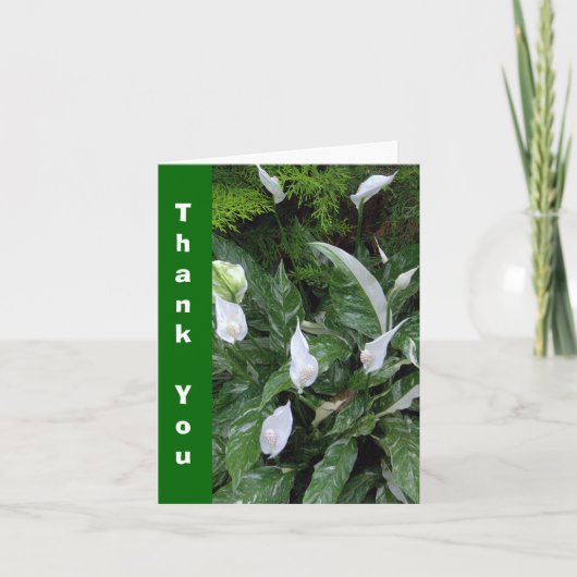 DANK-YOU NOTE CARD /PEACE PFLANZE DANKESKARTE (Vorderseite)