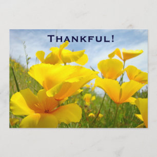 Dankbar! Einladungs-Gewohnheit erbietet das Dankeskarte