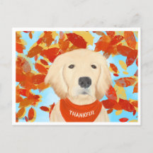 Dankbar - In meine Lebenspostkarte fallen