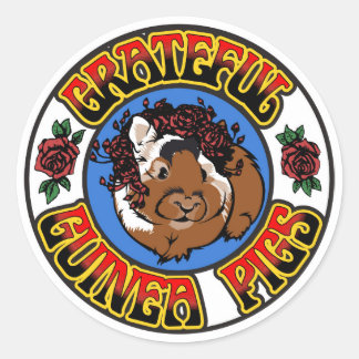 Dankbare Guinea Pig Runder Aufkleber