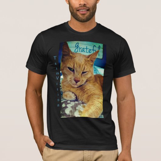 Dankbare Katze T-Shirt (Vorderseite)