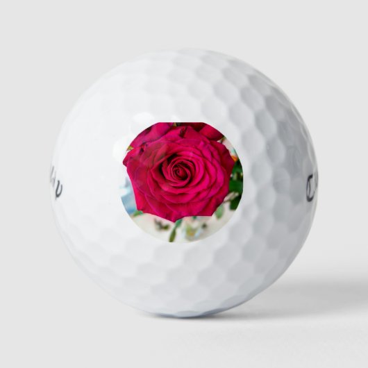 dankbare Rose Golfball (Vorderseite)