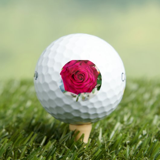 dankbare Rose Golfball (Insitu T-Shirt)