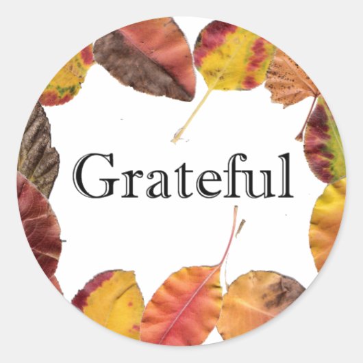 Dankbare Typografie im Herbst Runder Aufkleber (Vorderseite)