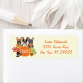 Dankbarer französischer Bulldogs-Erntedank (Insitu)