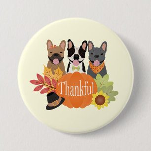 Dankbarer französischer Bulldogs-Erntedank Button