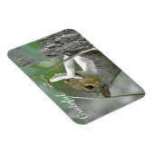 Dankbares Eichhörnchen Magnet (Rechte Seite)