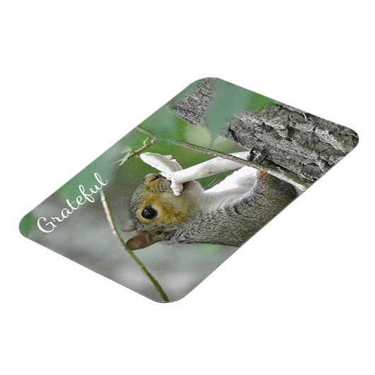 Dankbares Eichhörnchen Magnet (Linke Seite)