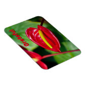 Dankbares Zitat über Red Peace Lily Magnet (Rechte Seite)