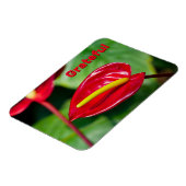 Dankbares Zitat über Red Peace Lily Magnet (Linke Seite)