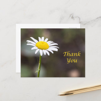 Dankbarkeit Blooms: Ein wilder Daisy Vielen Dank Postkarte