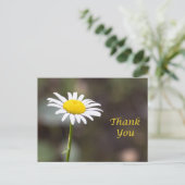 Dankbarkeit Blooms: Ein wilder Daisy Vielen Dank Postkarte (Stehend Vorderseite)