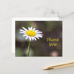 Dankbarkeit blüht: Eine wilde Daisy Dankeschön Postkarte