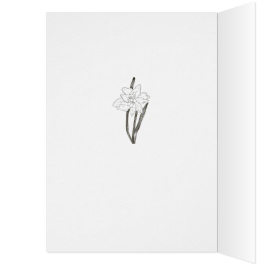 Dankbarkeit Daffodil (Innen (Links))