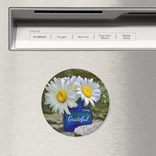 Dankbarkeit Daisy Magnet (In Situ (Geschirrspüler))