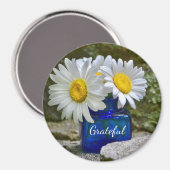 Dankbarkeit Daisy Magnet (Vorderseite/Rückseite)