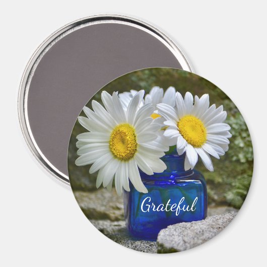 Dankbarkeit Daisy Magnet (Vorderseite/Rückseite)