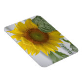 Dankbarkeit der Sonnenblumen Magnet (Rechte Seite)