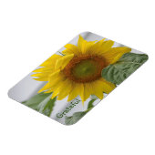 Dankbarkeit der Sonnenblumen Magnet (Linke Seite)