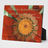 Dankbarkeit Gazania Fotoplatte (Seite)