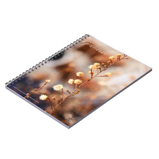 DANKBARKEIT - NOTIZBÜCHER (Linke Seite)