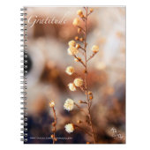 DANKBARKEIT - NOTIZBÜCHER (Vorderseite)