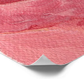 Dankbarkeit Pink Rose Poster (Ecke)