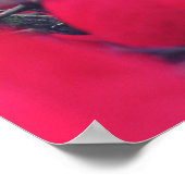 Dankbarkeit Poster (Ecke)