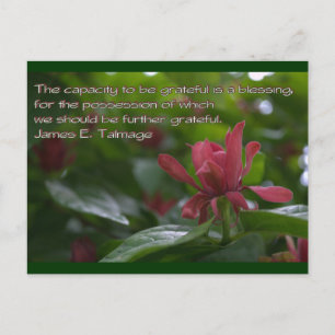 Dankbarkeit Postkarte