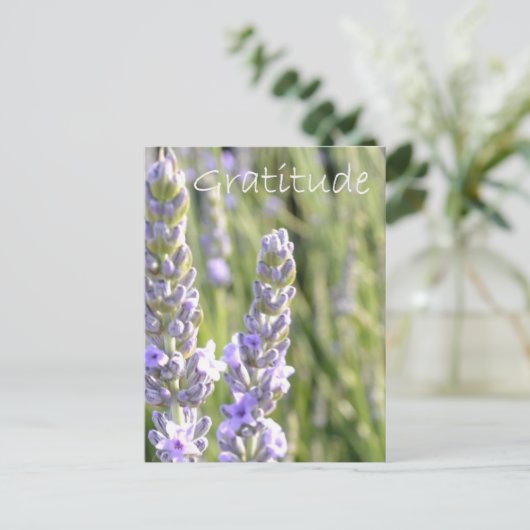 Dankbarkeit Postkarte (Stehend Vorderseite)