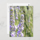 Dankbarkeit Postkarte (Vorne/Hinten)