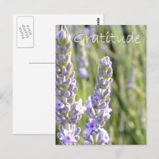 Dankbarkeit Postkarte (Vorne/Hinten)