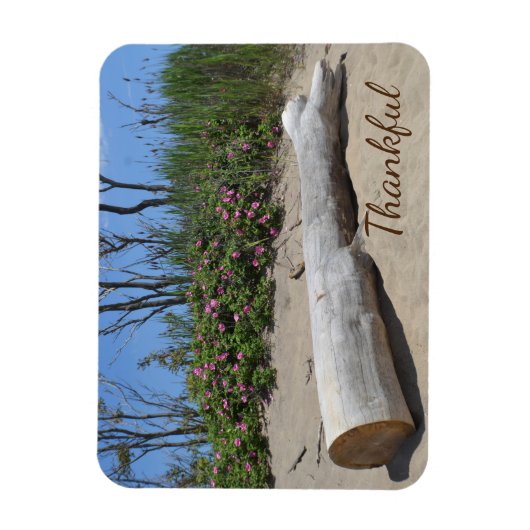 Dankbarkeit Seashore Magnet (Vertikal)