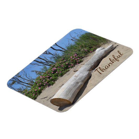 Dankbarkeit Seashore Magnet (Linke Seite)