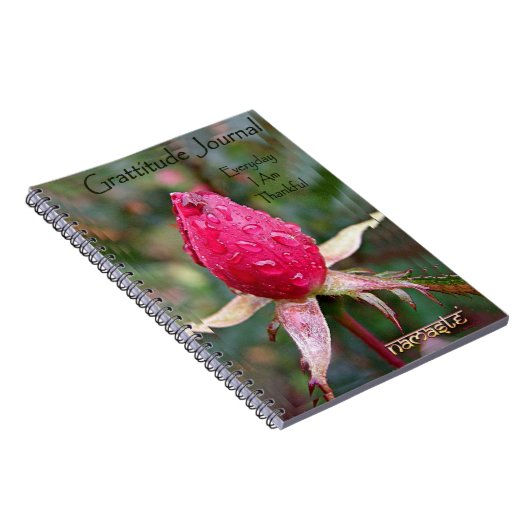 Dankbarkeits-Zeitschrift: Bild durch Richard Notizblock (Rechte Seite)