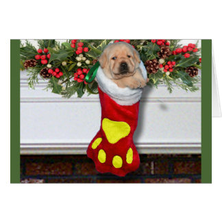 Dankbarkeitswoche 3 Gelb