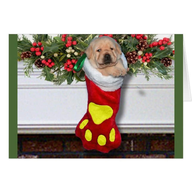 Dankbarkeitswoche 3 Gelb (Vorderseite (Horizontal))