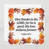 Danke (Vorne/Hinten)