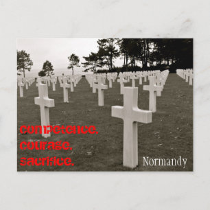 Danke an einen Tierarzt Postkarte