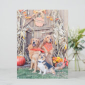 Danke an Niedliche Hunde und Erntedank Harvest Karte (Stehend Vorderseite)