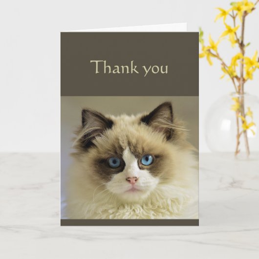 Danke an Sincere Beautiful Cat Animal Scripting Karte (Gelbe Blume)