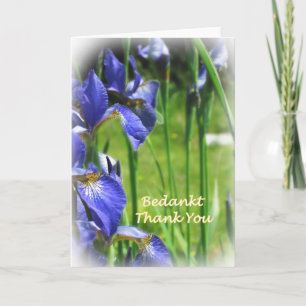 Danke auf niederländisches und englisch