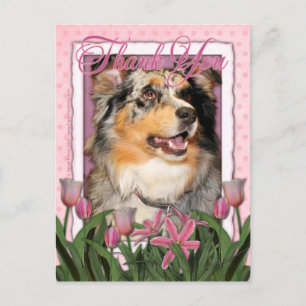 Danke - Australian Shepherd - Dustine Postkarte