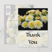 Danke Auto - Lemon Meringue Chrysanthemums Postkarte (Vorne/Hinten)