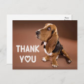 Danke Basset Hound Welpe Dog Brown Postkarte (Vorne/Hinten)