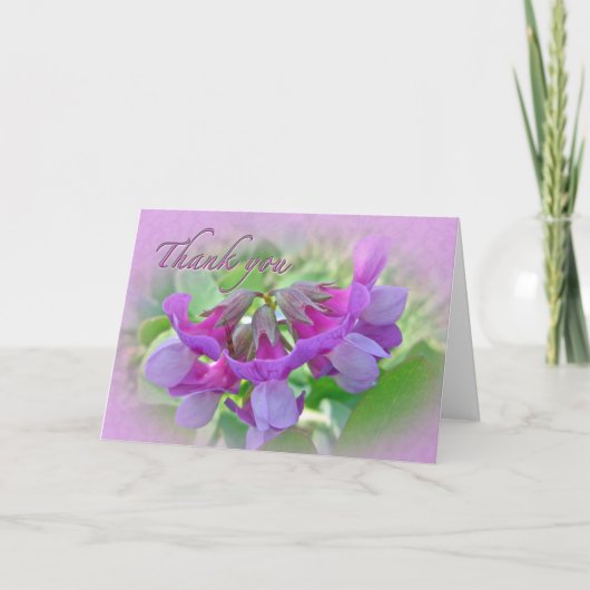 Danke Beach Pea Wildblume (Vorderseite)