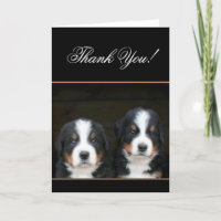 Danke, Bernese Berg Hund Welpen Karte